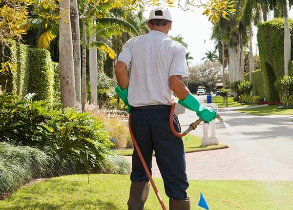 About Michigan ND Pest Control